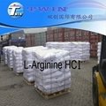 High quality L-Arginine HCI as medicine
