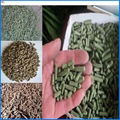 Flat die pellet machine is hot sale 2