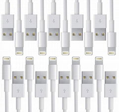 Lightning Data Cable For Apple iPhone 5 iPhone 6 White Bulk (Pack OF 10)