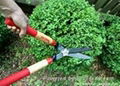 Hedge shears 3