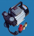 220V Electric Diesel Pump