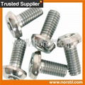 Grade 7 Titanium Screw