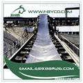 EP CONVEYOR BELT