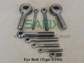 Stainless Steel Eye Bolt