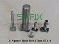 Stainless Steel T Head Bolt