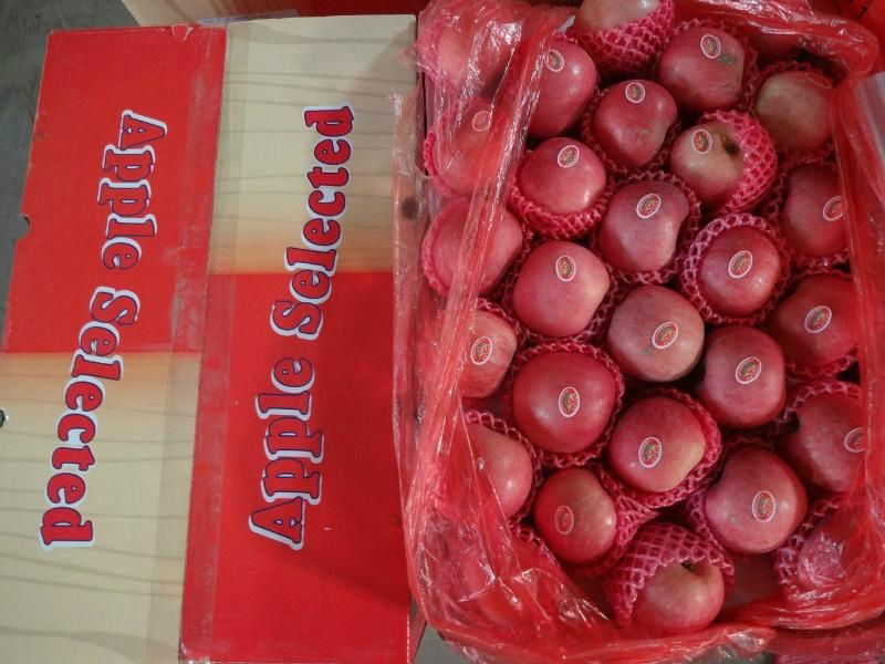 high quality delicious red fuji apple from China