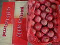 Chinese paper bagged red fuji apples 3