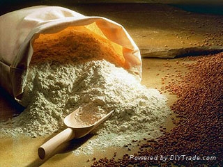 Wheat Flour 