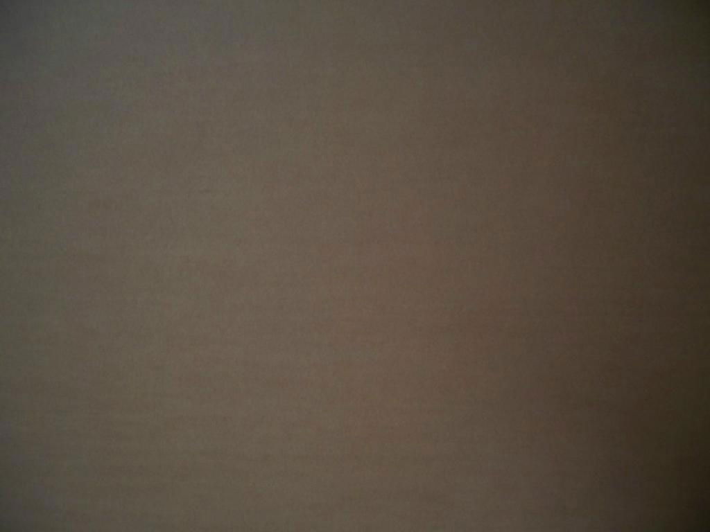 Brown film faced plywood 2