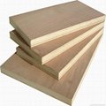 beech plywood