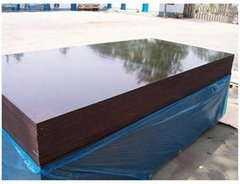 2mm-28mm brown film faced plywood 