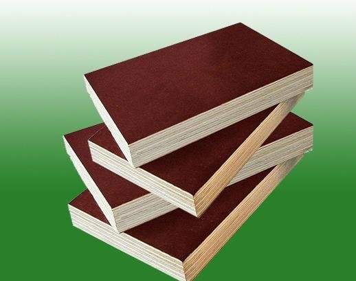 2mm-28mm brown film faced plywood  3