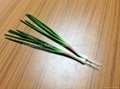High quality PU plastic vegetable artificial chive model 4