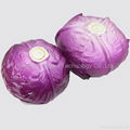 PU Simulation vegetable artificial cabbage 3