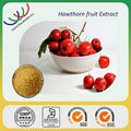 hawthorn extract