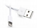 iphone5 usb calbe, customized iphone 5 usb cable, USB2.0 cable 1