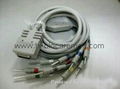 Compatible EKG cable 10 lead 5