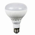 LED Smart Wifi Bulb BR30 12W WWCW