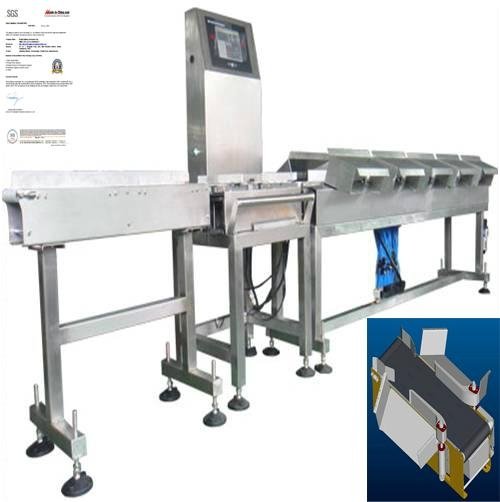 seafood weight sorter-DH the leader in weighing industry