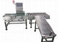 2014 High Accuracy Checkweigher with Pusher Type 2