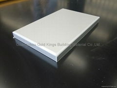 Anodized Aluminum Panel