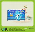 New style!fashionable  pvc smart card