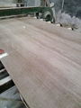 Iceberg wood grain，Iceberg wood grain，Marble , Marble Tile , Marble Slab China,G 2