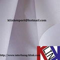 Super White Coated Collar Interlining For Garment