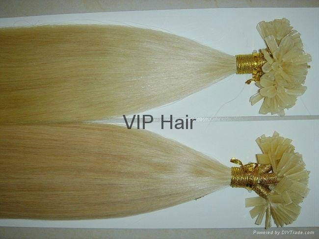 Promotion 100% Malaysian Remy Hair U tip Hair  Extensions 5