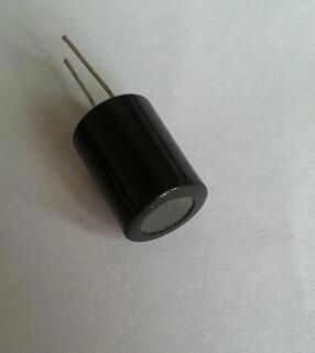 leaded inductor with ring sjhell