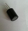 leaded inductor with ring sjhell