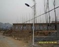 滄州農村6米20W太陽能路燈 4