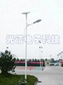 沧州太阳能路灯电池组件常用大小 2