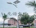 沧州太阳能路灯电池组件常用大小 4