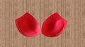 modern fashion bra pads 1