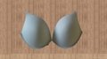 modern fashion bra pads 2