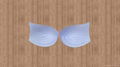 modern fashion bra pads 3