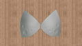 modern fashion bra pads 5