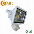 Factory Wholesale Die Cast Aluminum COB LED Sensor Flood light 3