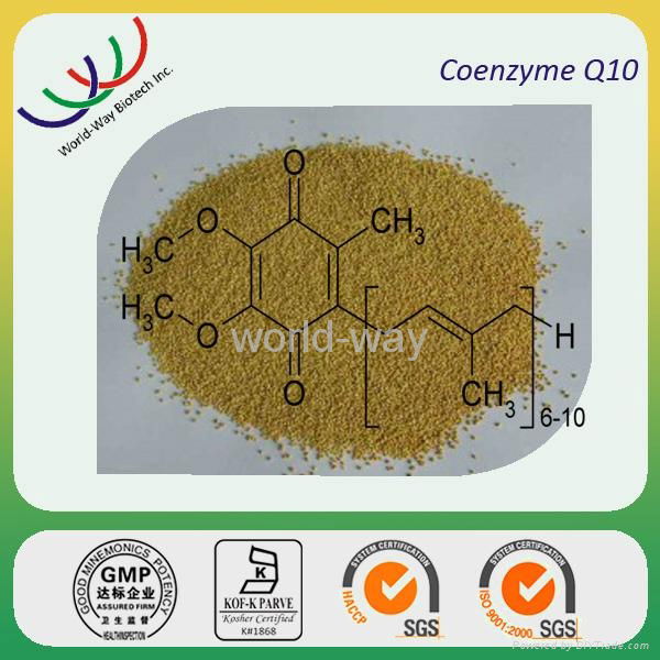 GMP factory supply High quality Natural antioxidant plant extraction coenzyme q1