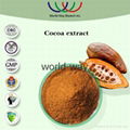 China factory supply 10% theobromine cocoa extract  4