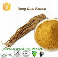 High quality 100% pure dong quai extract ligustilide