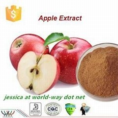 100% Natural product 95% phloridzin Apple extract 