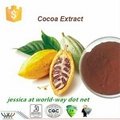 China factory supply 10% theobromine cocoa extract  1