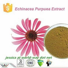 Echinacea Purpurea Extract