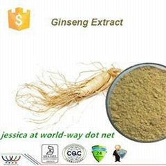 panax Ginseng Extract