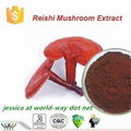 Reishi Mushroom Extract