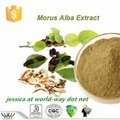 Morus Alba Extract 1