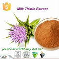 Milk Thistle Extract 1