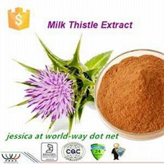 Milk Thistle Extract